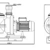 lorentzpump2